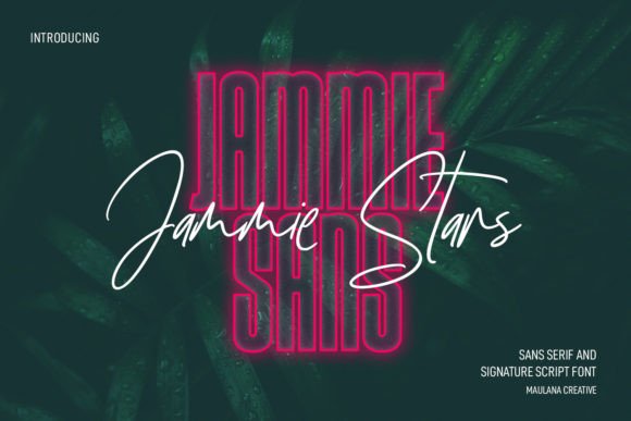 Jammie Stars