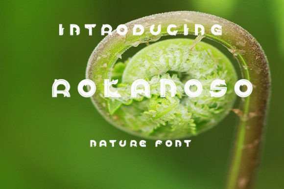 Rokanoso: A Tropical Font for Creative Expression